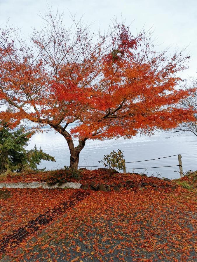 Vancouver Island Castle Cove Inn Chemainus Luaran gambar