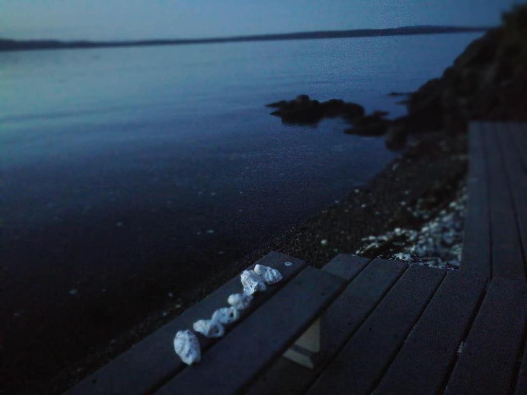Vancouver Island Castle Cove Inn Chemainus Luaran gambar