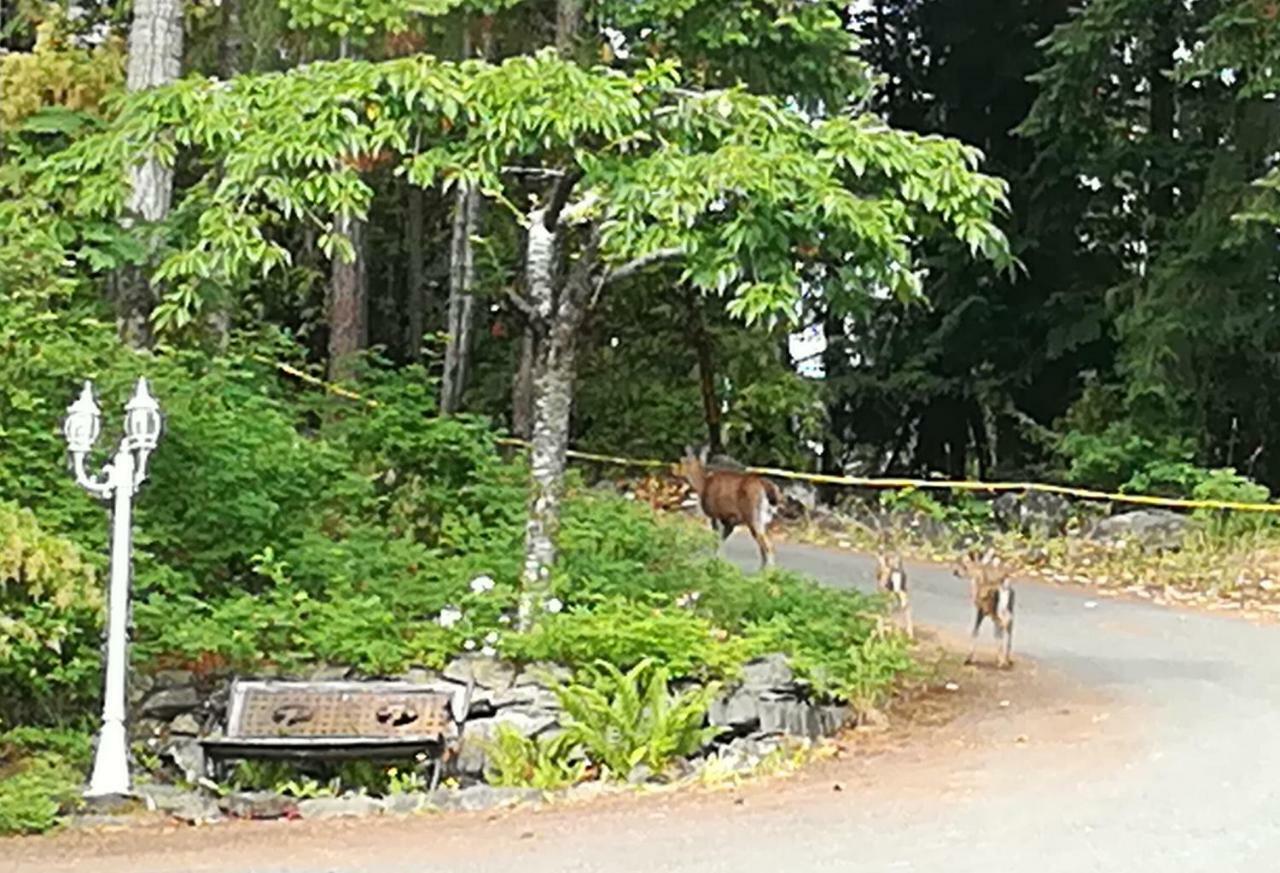 Vancouver Island Castle Cove Inn Chemainus Luaran gambar