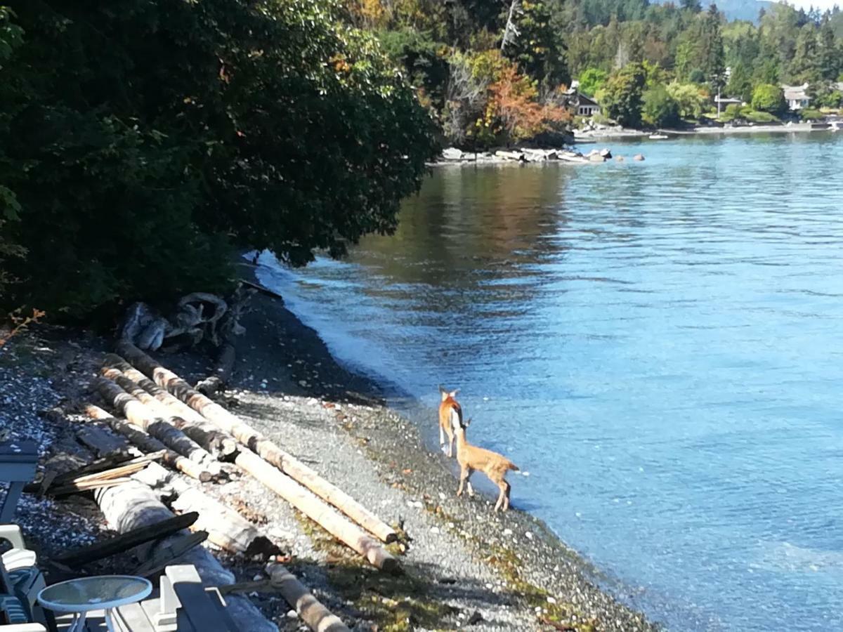 Vancouver Island Castle Cove Inn Chemainus Luaran gambar