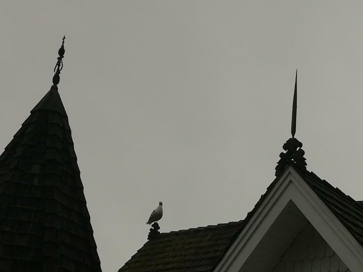 Vancouver Island Castle Cove Inn Chemainus Luaran gambar